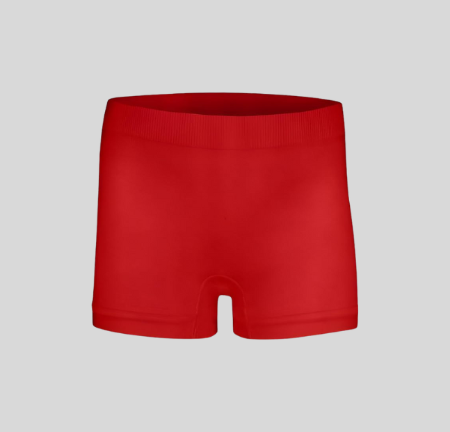 Hot Lycra short 1 Base Layer Bottom (Silvy)